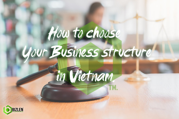 Picture of how to choose your Business structure in vietnam