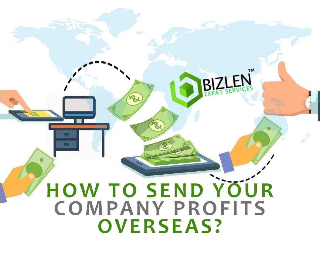 How to send your company profits abroad. Bizlen. Send profit abroad with Bizlen Services. 

